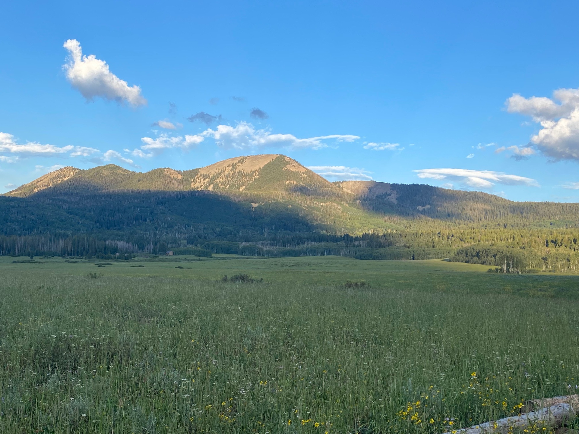 Sagebrush hills of Northwest Colorado at soft dawn light
